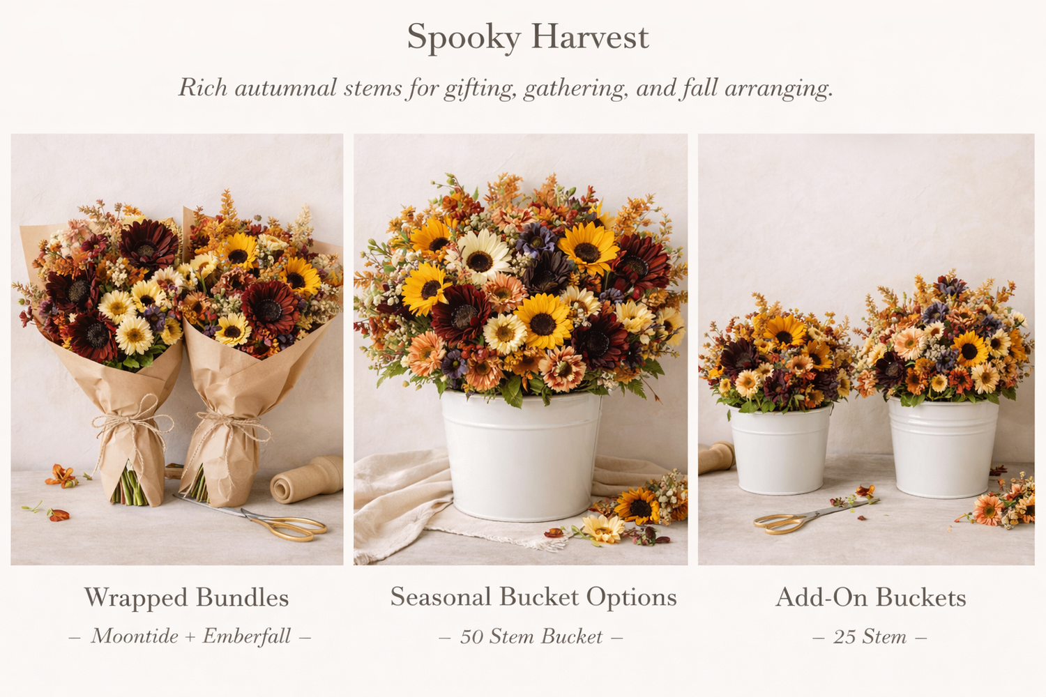 Spooky Harvest Collection