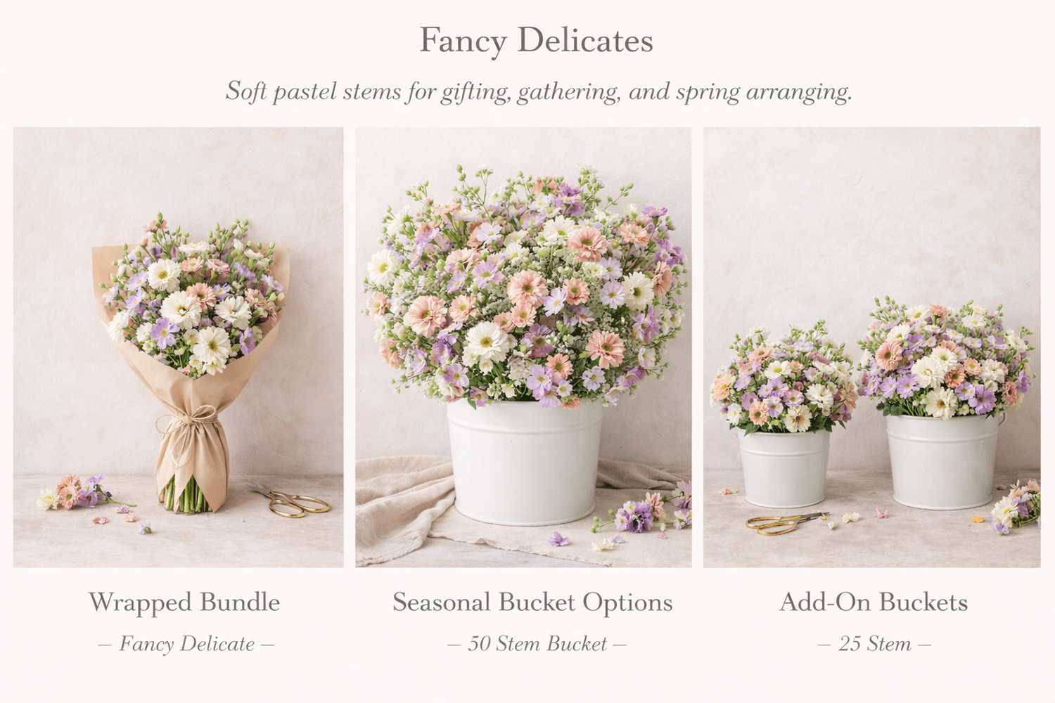Fancy Delicate Collection